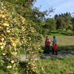 schwer beladen