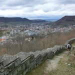 CIMG7664 (Small)