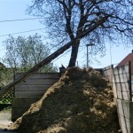 CIMG8140 (Small)