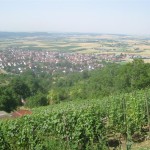 Blick nach Ammerbuch, Entringen -