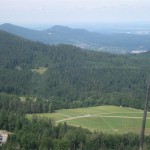 IMG_0391 (Medium)