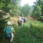 IMG_0399 (Medium)