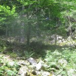 IMG_0402 (Medium)