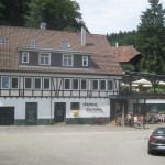 IMG_0403 (Medium)