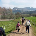 20160410_105239 (Large)