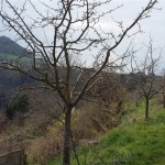 20160410_145335 (Large)