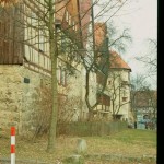 4 (Large)