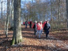 auf dem Weg zum Beurener Fels
