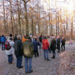 Halt im Wald 