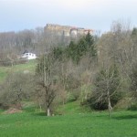IMG_3199 (Large)