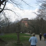IMG_3211 (Large)