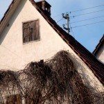 Katzennest