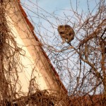 ob das bequem ist?