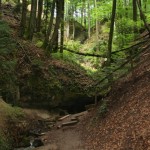 Schelmenklinge (Large)