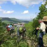 Blick ins Land