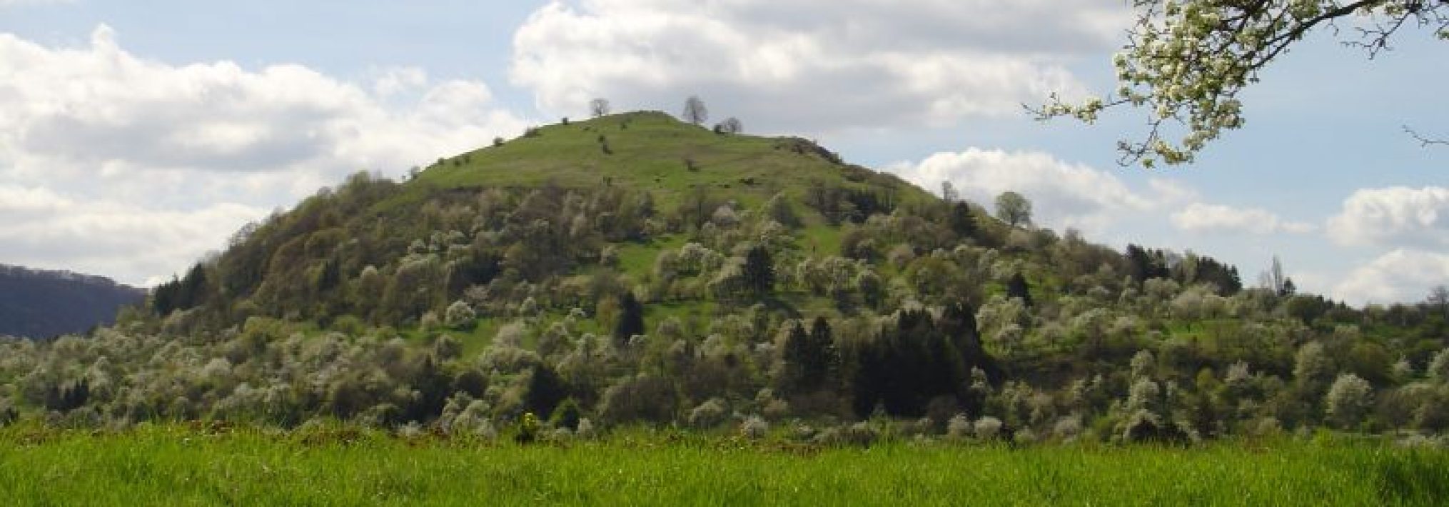 Schwäbischer Albverein | Ortsgruppe Notzingen-Wellingen
