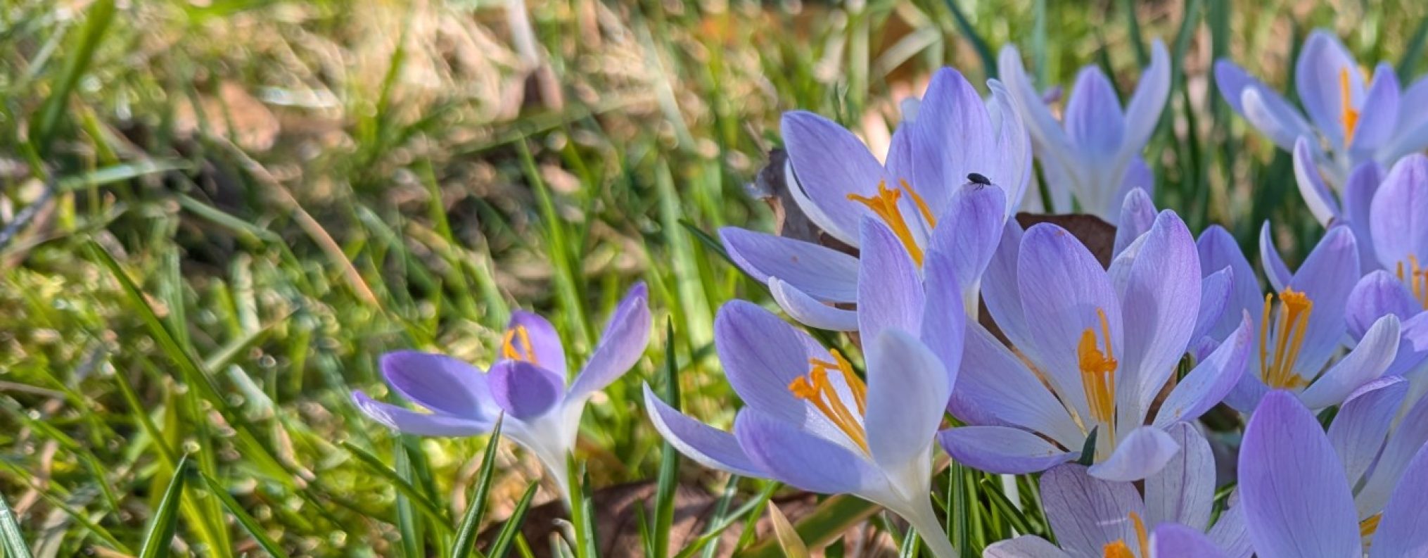 Schwäbischer Albverein | Ortsgruppe Notzingen-Wellingen
